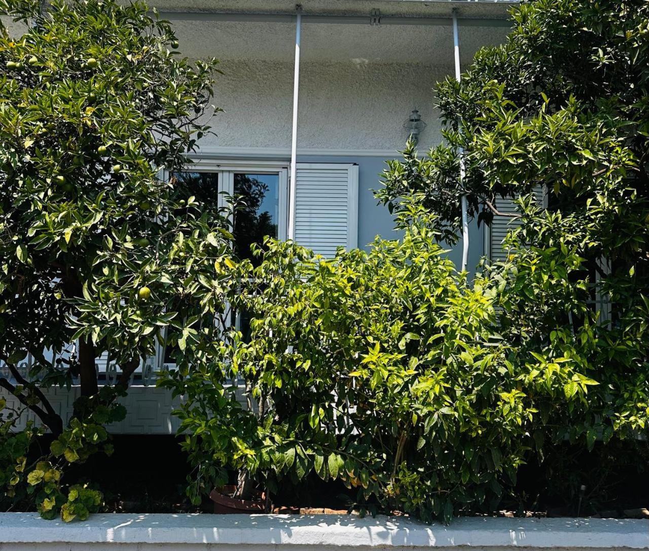 Sotiris Mandarin House Apartamento Diakopto Exterior foto